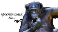 просчитался, но где.png