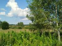 IMG20250723161805.jpg