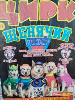 IMG20250813100335.jpg