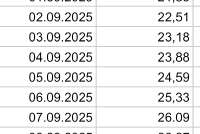 Screenshot2025-09-02-17-20-17-716com.google.android.apps.docs.editors.sheets-edit.jpg