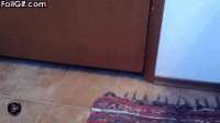 1619128173607.gif
