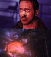 NuhqebrmtMs.jpg