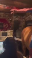 1.mp4