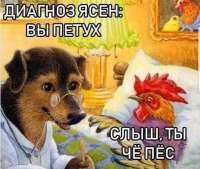 1710348544354.jpg