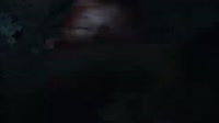 14721487633120.webm