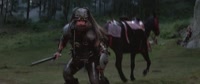 15558597200940.webm