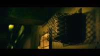 15068510869520.webm