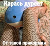 d5157481-1440-5831-8c3b-f75dac811624.png