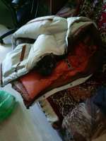 IMG-20250522-WA0074.jpg