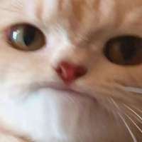 0KvsoUlh911mGnLenUH-iGWBjKFLYbrPtpfvAgC6IveFCuFBi2tKC4leaHD640USjl9MRGt6OUe8rMwWYwqe-.jpg