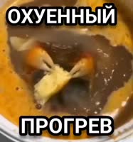 174903584967384629.mp4