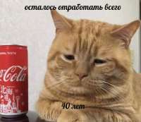 uz-W9EDUwlVGcYpmiLAGzkp2eHGxIaOTF-sDSt4DGCvGLoWXHCl-WWEd1F7BkrKCuUuVCFg4yfktA9uIUESpn4tL.jpg