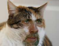 6t5Btf6GSdcmAA7vs-xxl.jpeg