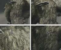 3dwa45.webp