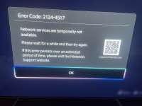 NS2-error1.jpg