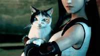 cat-good-kitty.gif