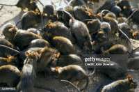 gettyimages-121844961-612x612.jpg