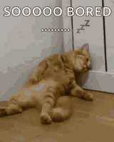 im-bored-1909799560.gif
