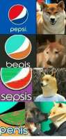 1000024497.jpg