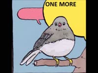 smt.mp4