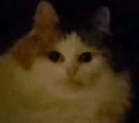 17376893664290.jpg