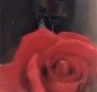 1749066587899.mp4