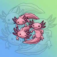 image (32).png