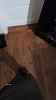 VID20250810215132680.mp4