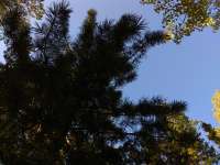 IMG20200829172928.jpg