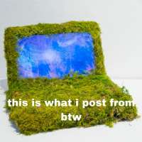 17486012238281.jpg