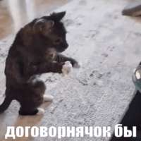 324234.gif