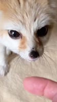 video2025-05-2308-06-19.mp4