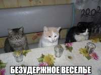 Безудержное веселье.jpg