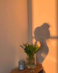 efece502a08a7ec29b4bc3b592bca04a.jpg