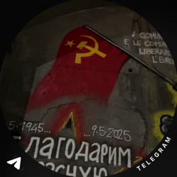 База Короля Чедошиза.mp4