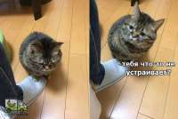 tlgpicrandom-pl.jpg