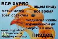 tlgpicrandom-9p.jpg