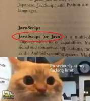 tlgpicrandom-as.jpg