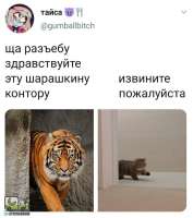 tlgpicrandom-u6.jpg
