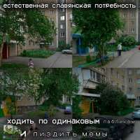 tlgpicrandom-cu.jpg