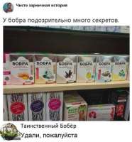 tlgpicrandom-xq.jpg
