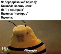 tlgpicrandom-xa.jpg