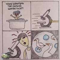 tlgpicrandom-p8.jpg