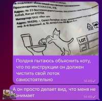 tlgpicrandom-49.jpg