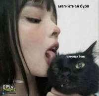 tlgpicrandom-y4.jpg