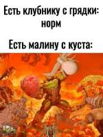 tlgpicrandom-f3.jpg