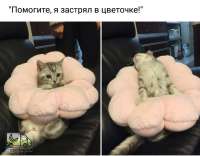 tlgpicrandom-xt.jpg