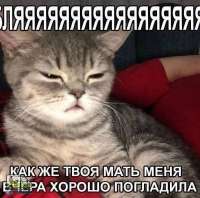 tlgpicrandom-ap.jpg