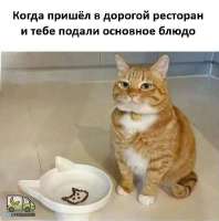 tlgpicrandom-3t.jpg