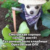 tlgpicrandom-lo.jpg